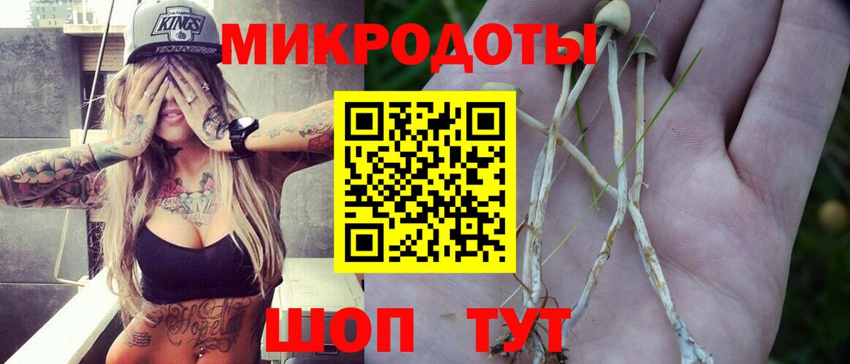 Псилоцибиновые грибы мицелий Верхняя Пышма
