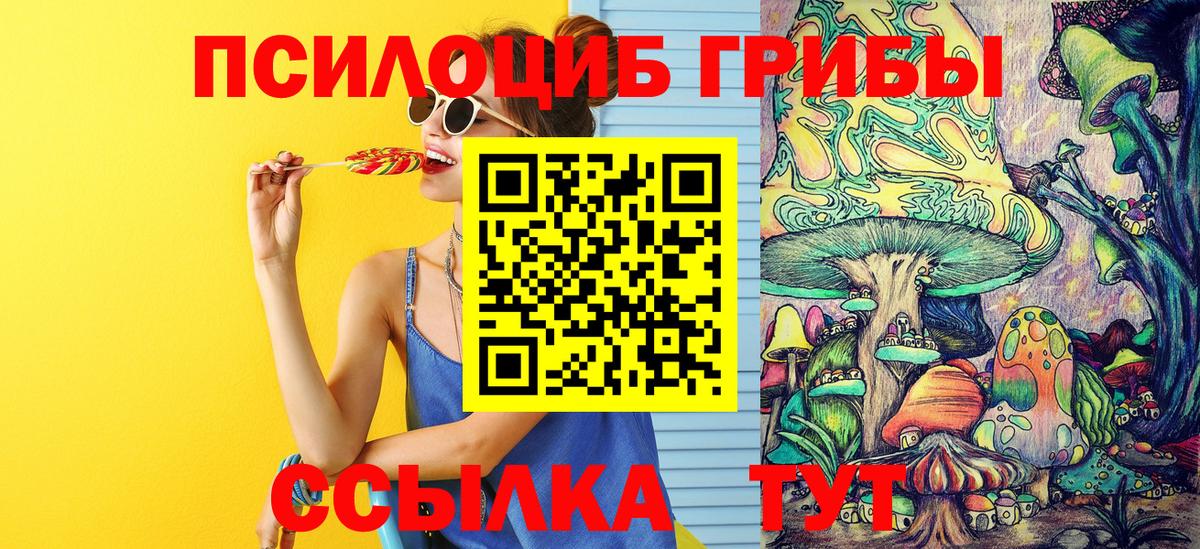 Псилоцибиновые грибы GOLDEN TEACHER  Вход с VPN  купить наркоту  Верхняя Пышма 